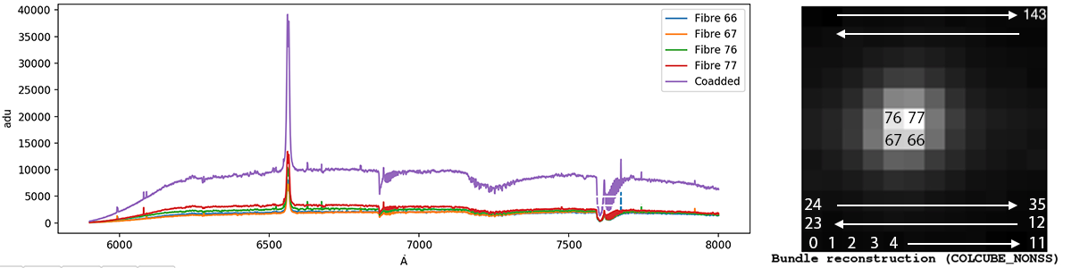 Example of spectrum extracted from RSS